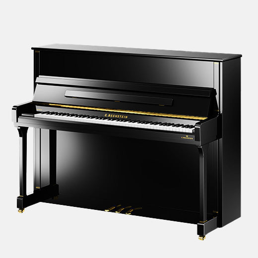 Prelude protective cover for Bechstein Residence R4 Contur