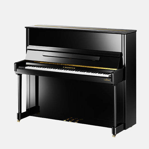 Intermezzo protective cover for Bechstein Residence R6 Style