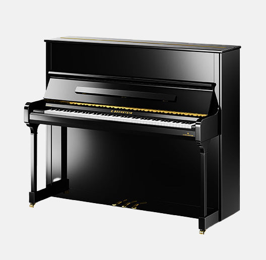 Maestro protective cover for Bechstein Residence R6 Style